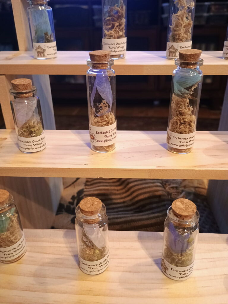 Fairy Wing Curiosities